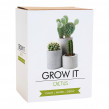 Odlingskit Cactus